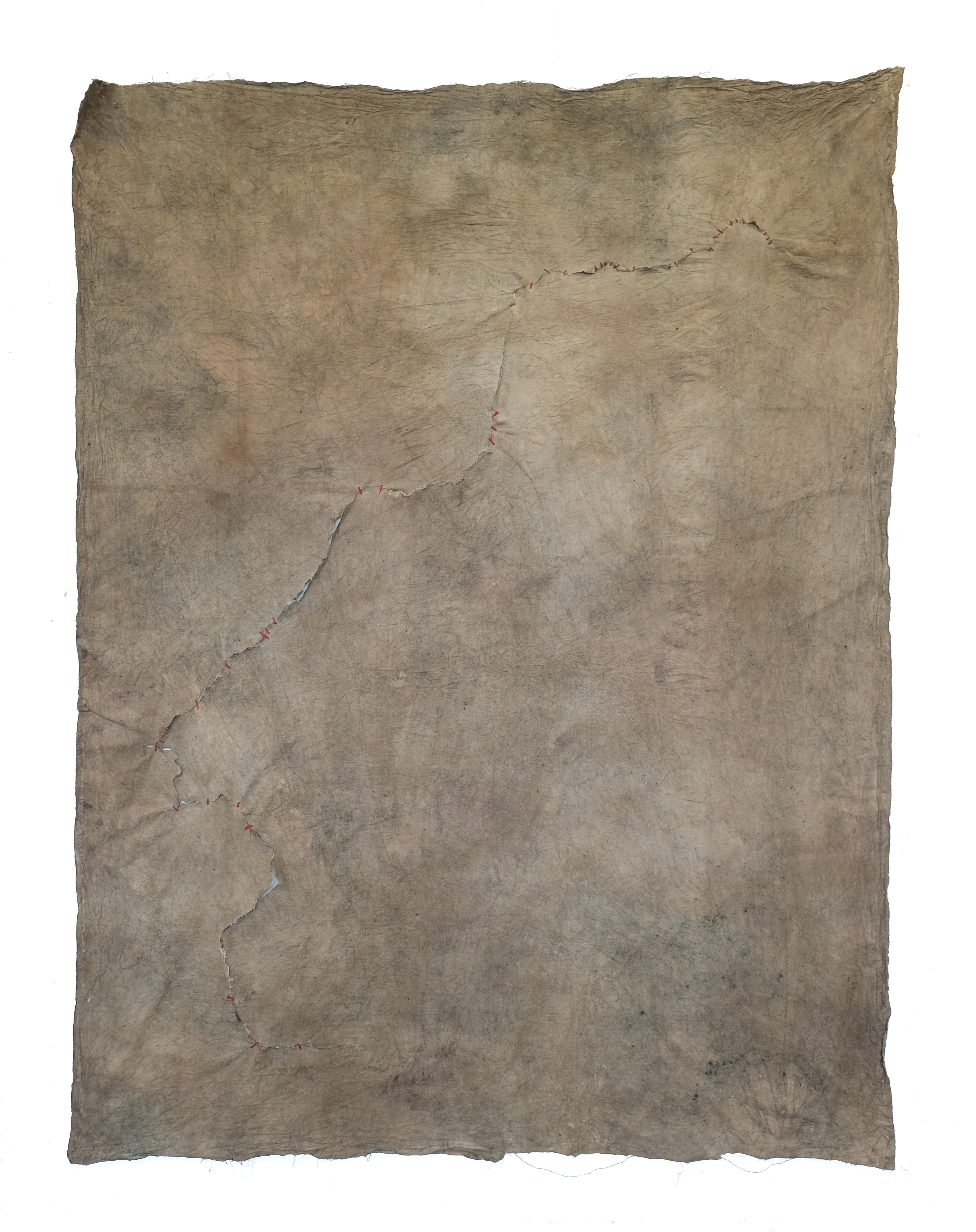 Sutura (43 puentes). Hilo, pigmentos naturales y cola vinílica sobre tela, 193 × 145 cm