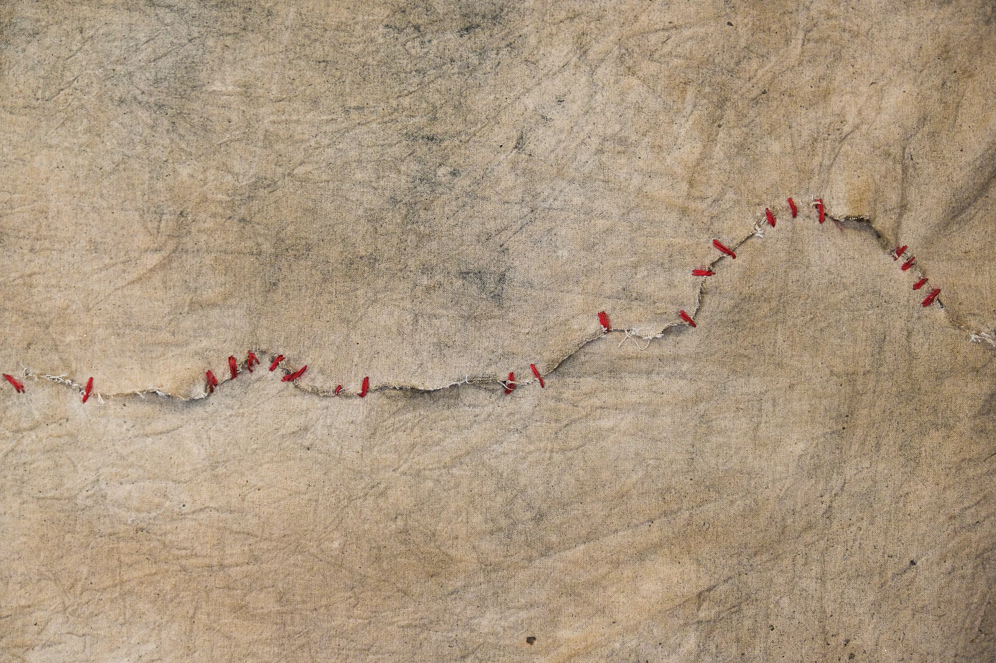 Sutura (43 puentes). Hilo, pigmentos naturales y cola vinílica sobre tela, 193 × 145 cm