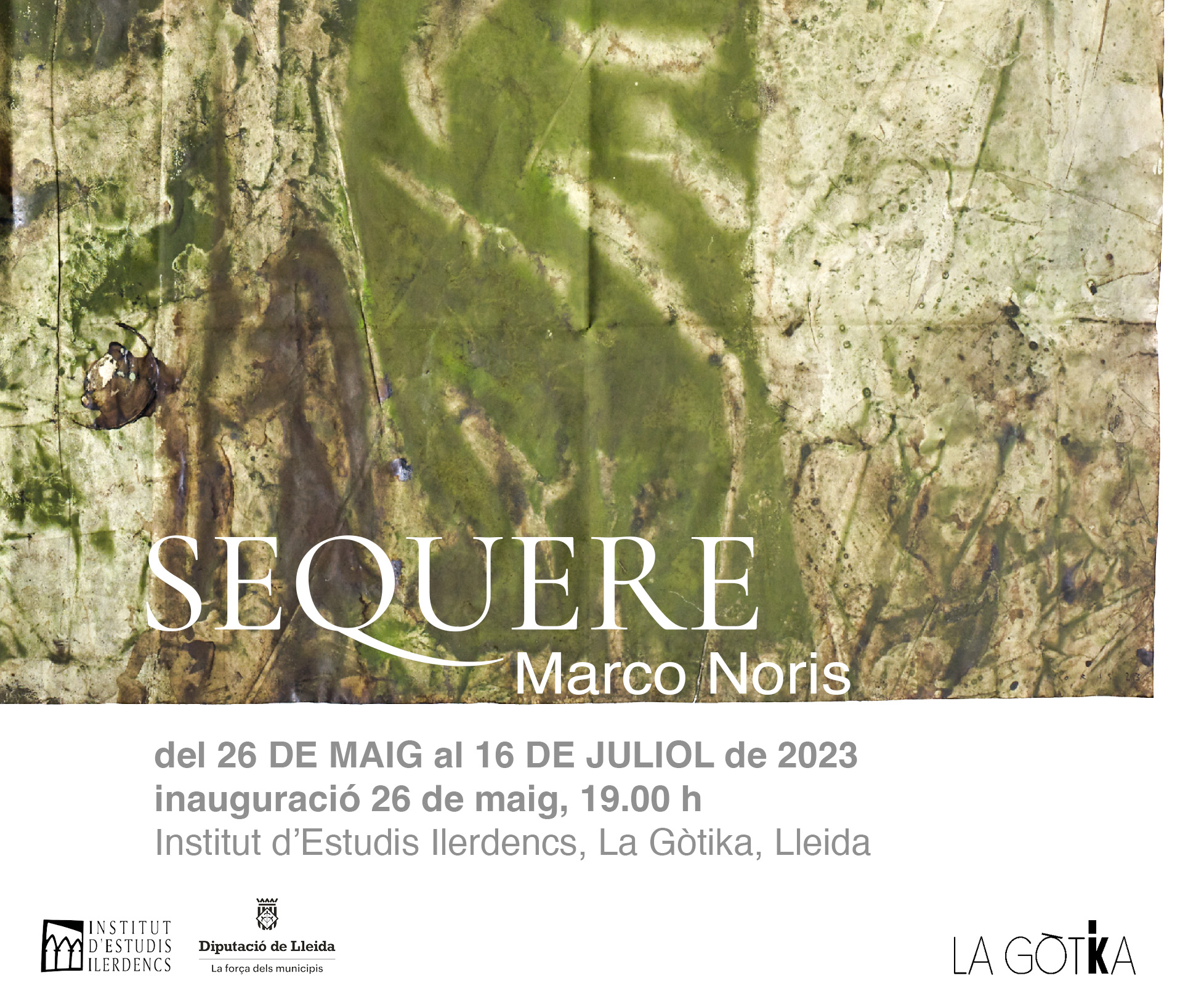 Sequere, exposición en el Institut d'Estudis Ilerdencs (Lleida)