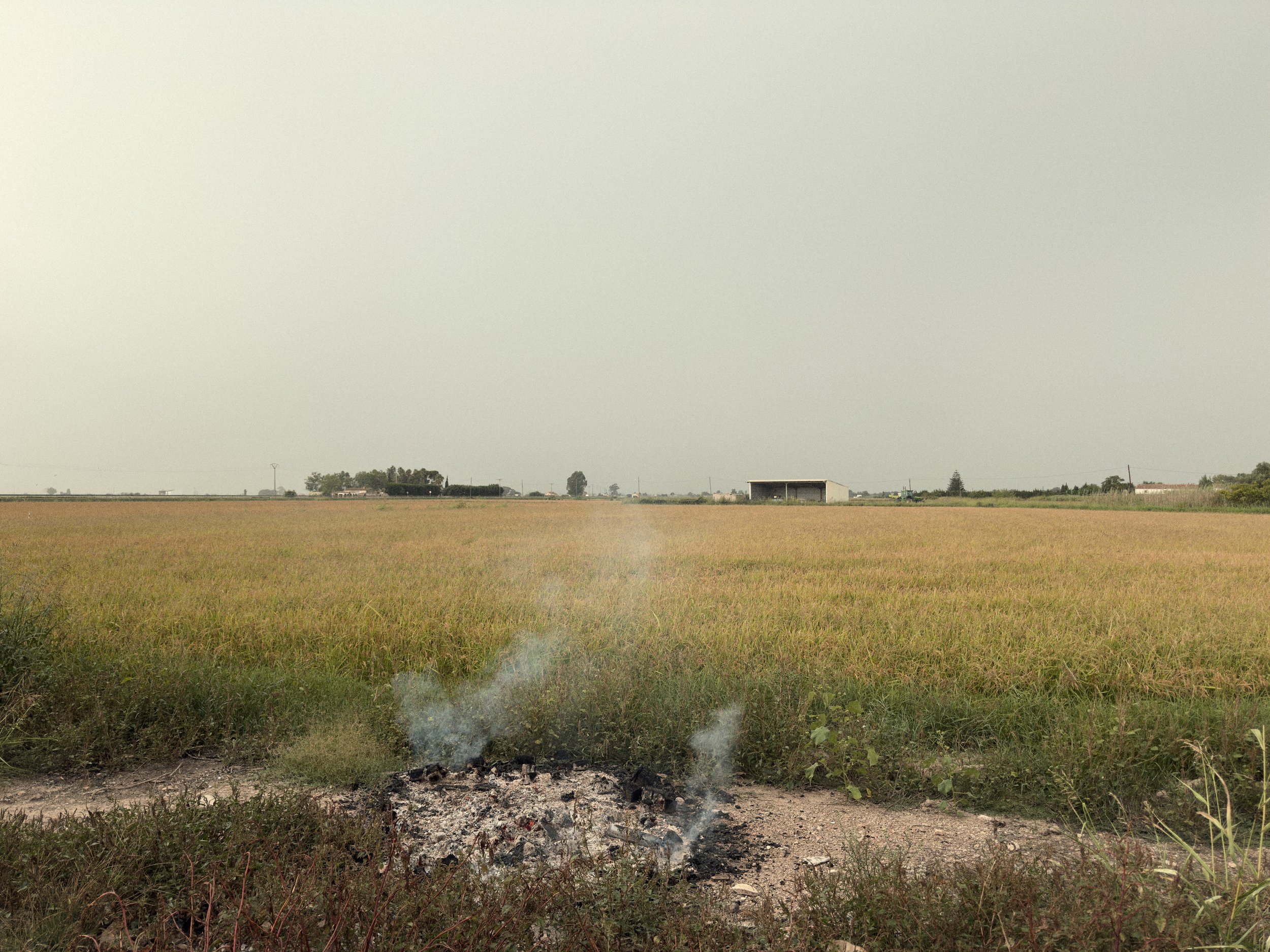 Balada, 2025, proyecto Cuerpo Ebro