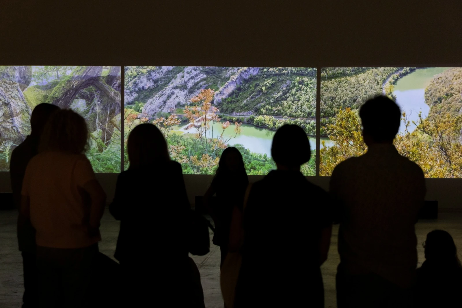 Audiovisuales y obras sonoras