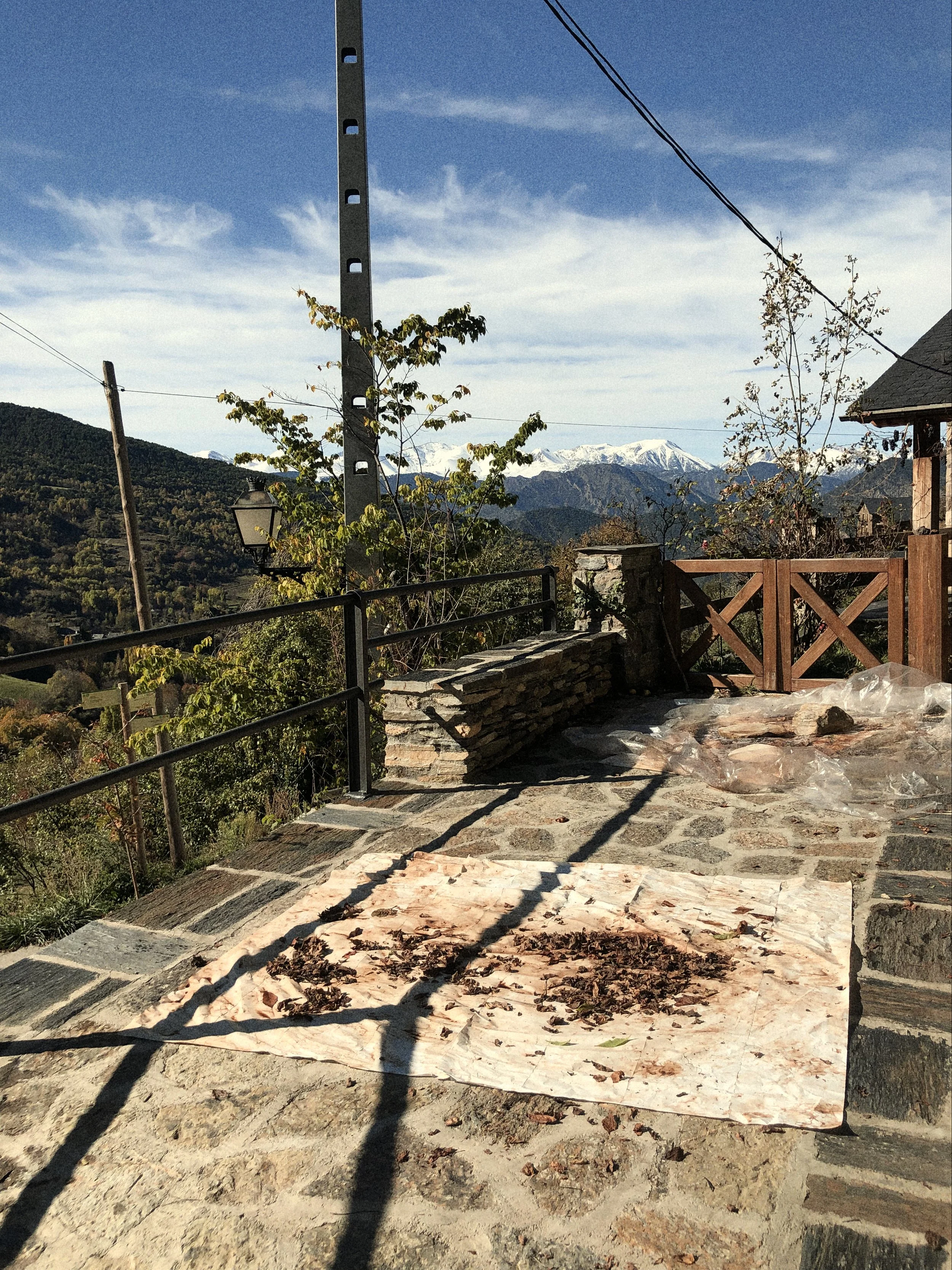 IMG_0210 1 Edited.jpg