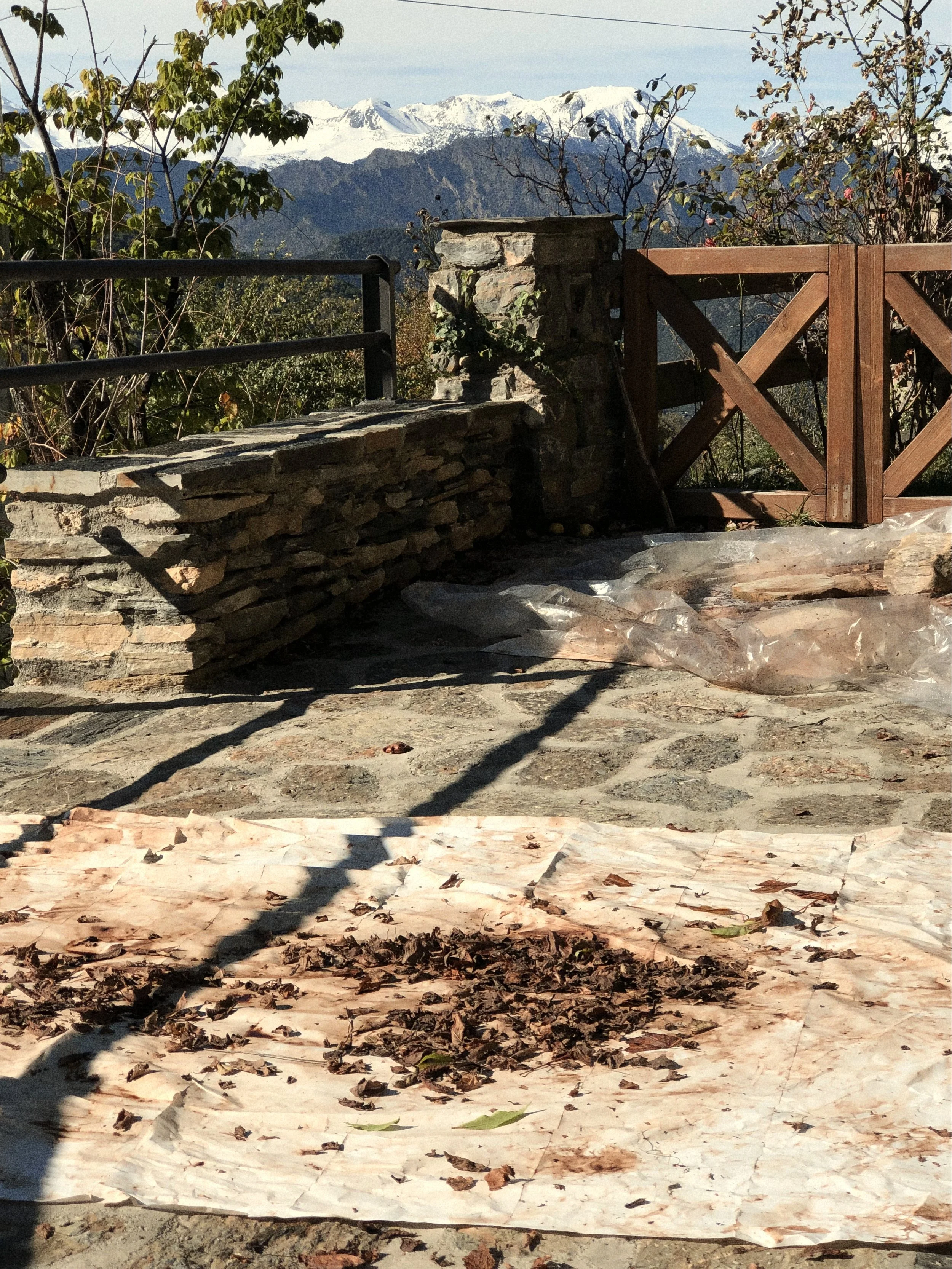 IMG_0212 2 Edited.jpg