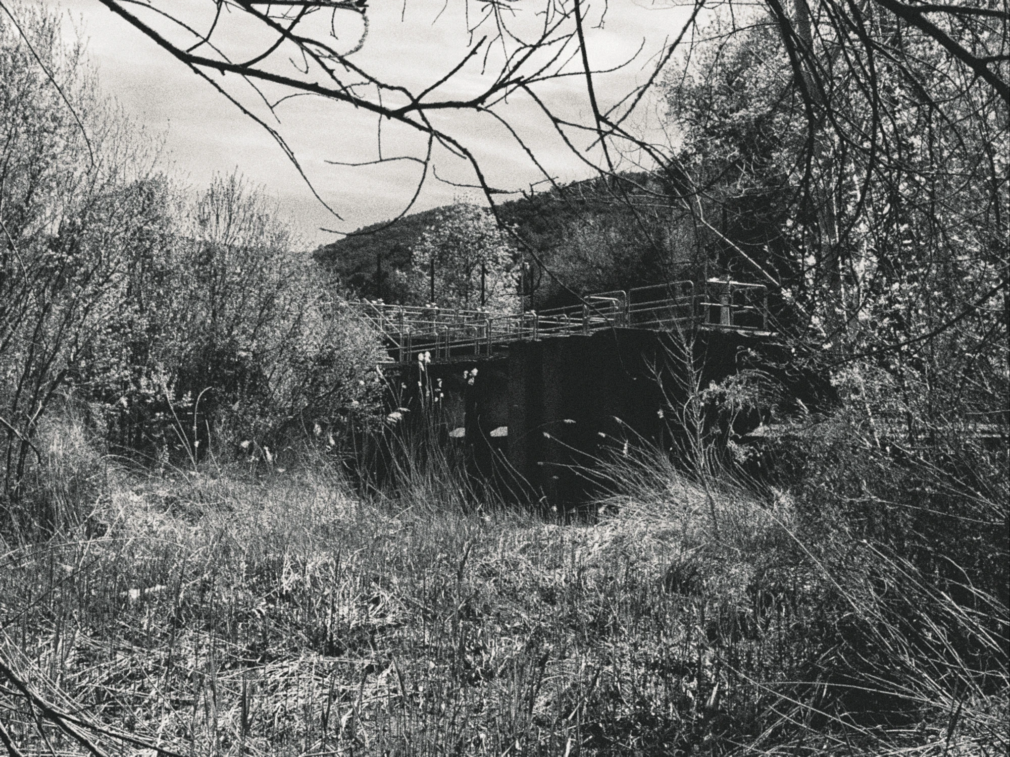 La vora oberta (La orilla abierta)