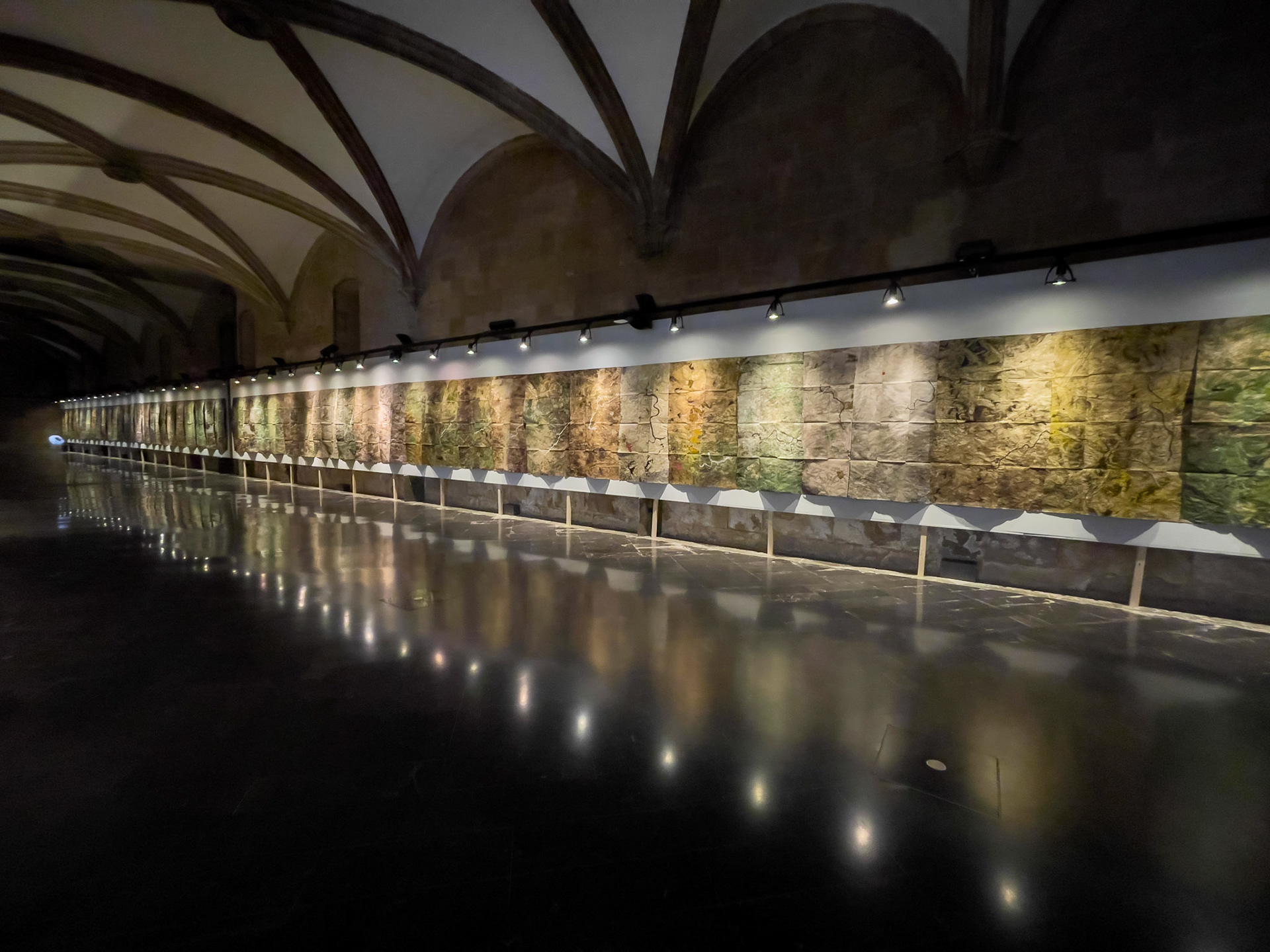 Exposición "Sequere", Institut d'Estudis Ilerdencs, Lleida, 2023