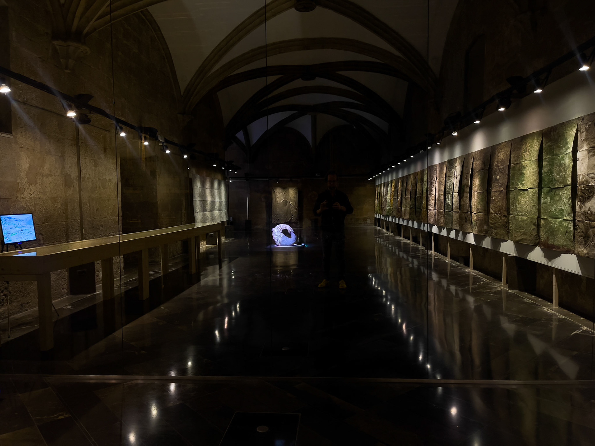 Exposición "Sequere", Institut d'Estudis Ilerdencs, Lleida, 2023