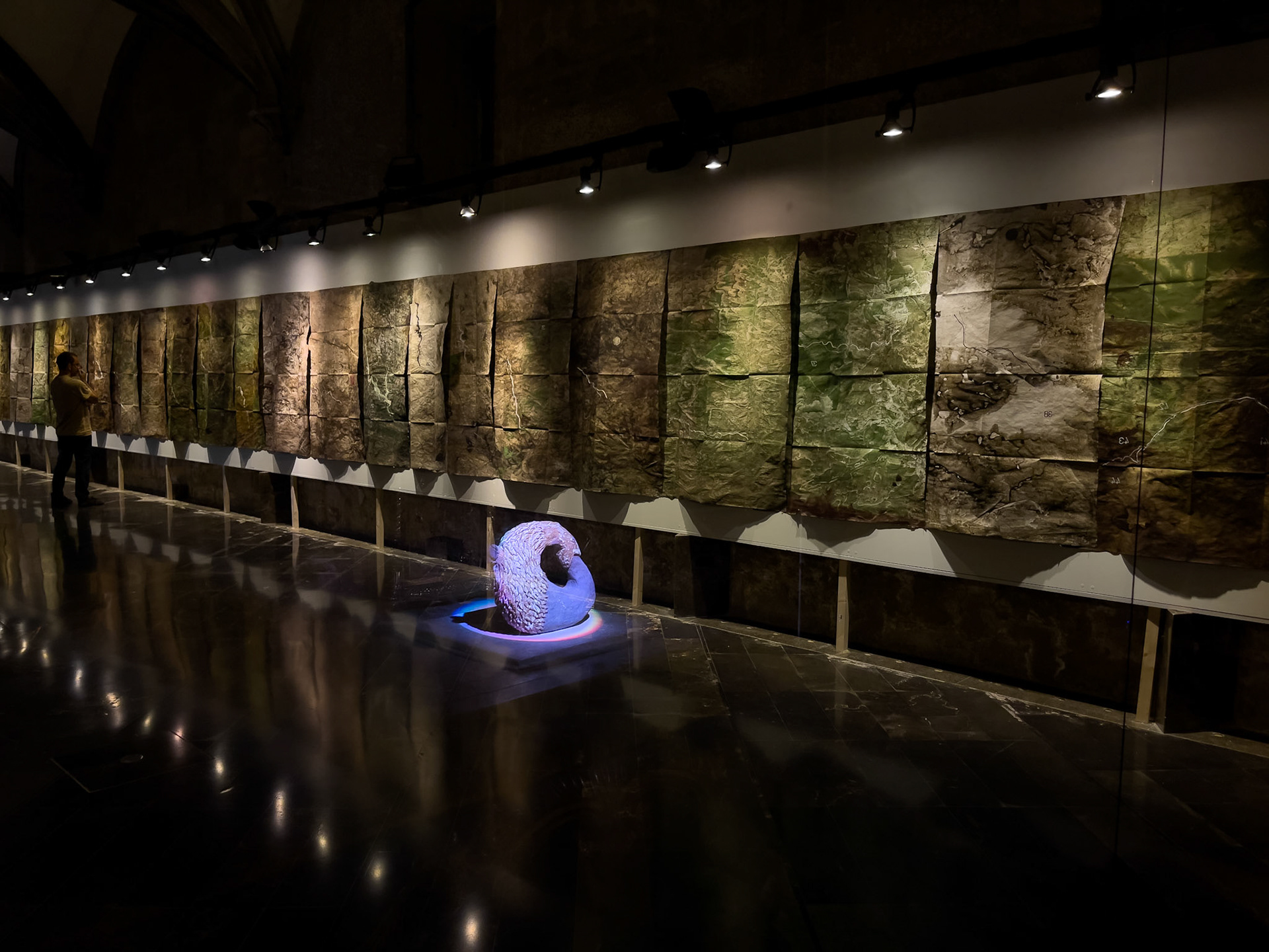 Exposición "Sequere", Institut d'Estudis Ilerdencs, Lleida, 2023