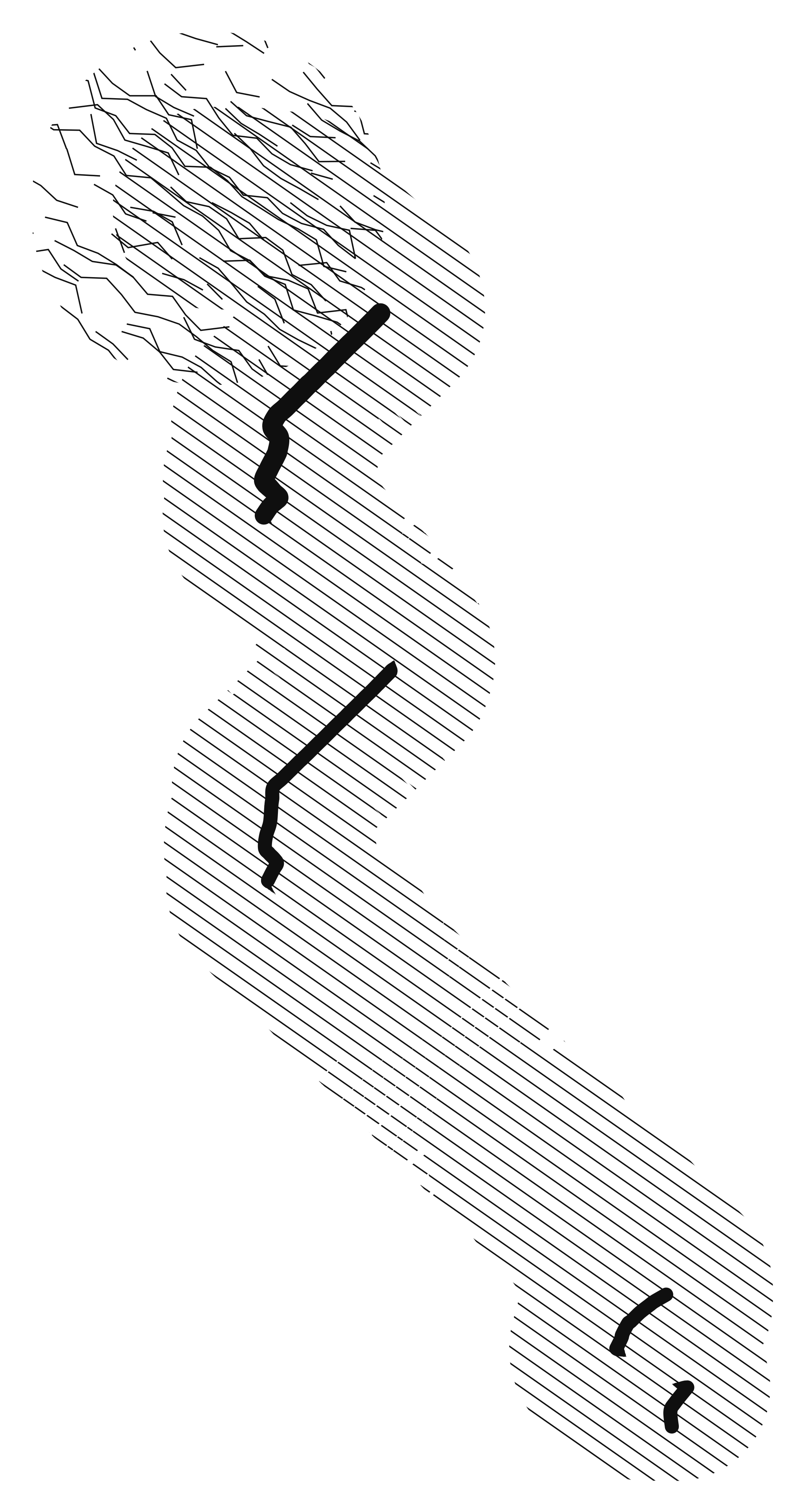 Fragmentos de un jueves por la mañana: dibujo en negro sobre blanco, línea y mancha generadas por GPS
