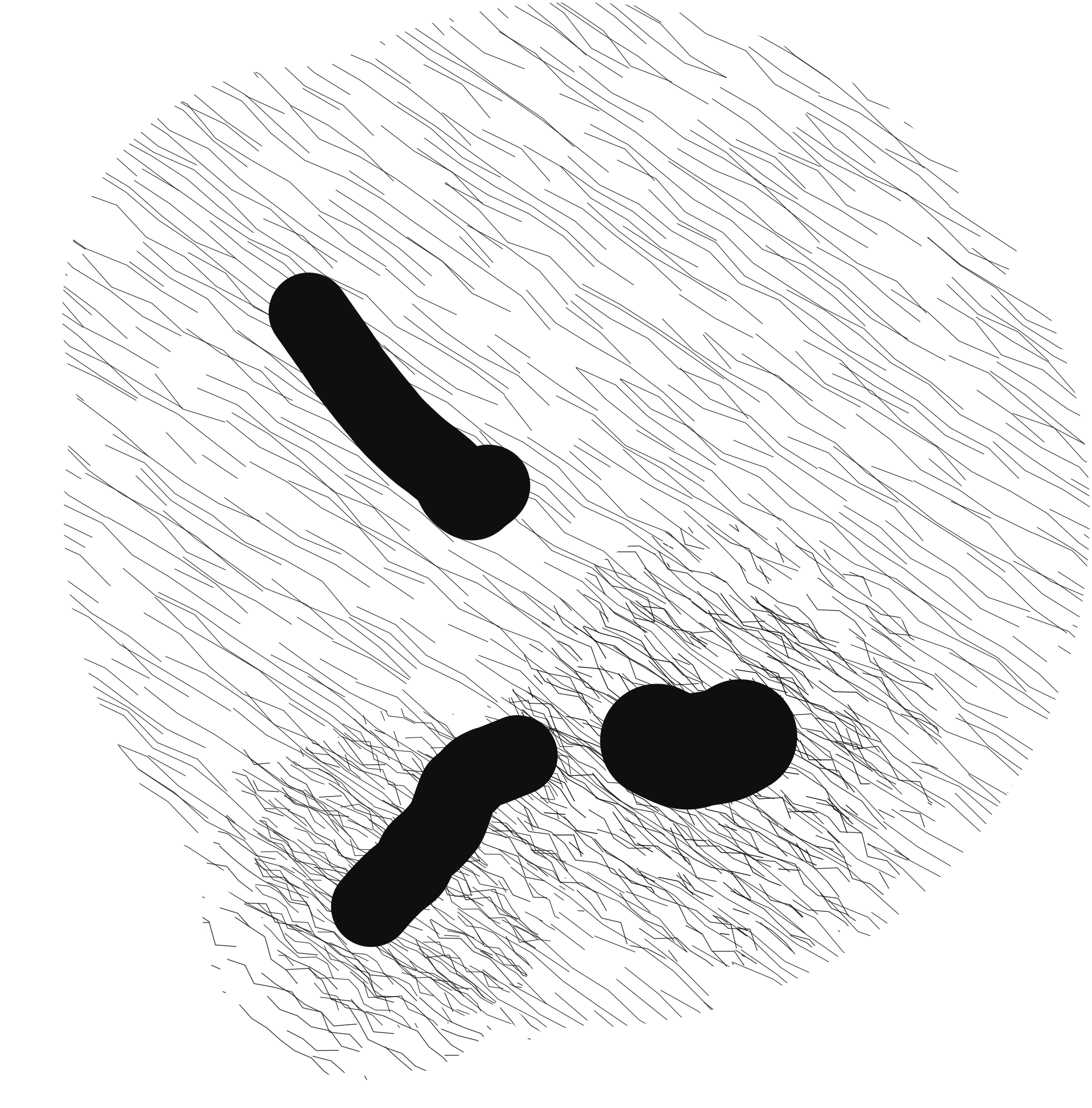 Tres cuerpos: dibujo en negro sobre blanco, línea y mancha generadas por GPS